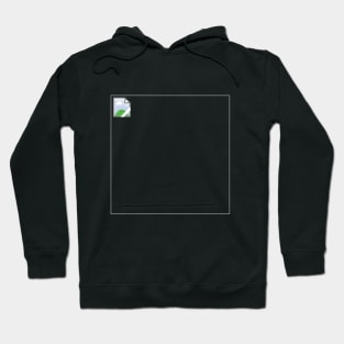 Broken Image Hoodie